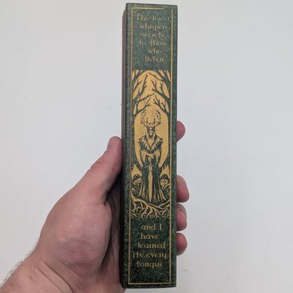 Druidic Path - Luxury Handmade Wood and Resin Dice Vault